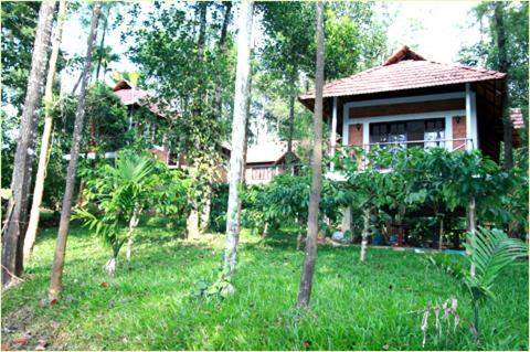 Coffee Acres Plantation Resort Kalpatta Zewnętrze zdjęcie